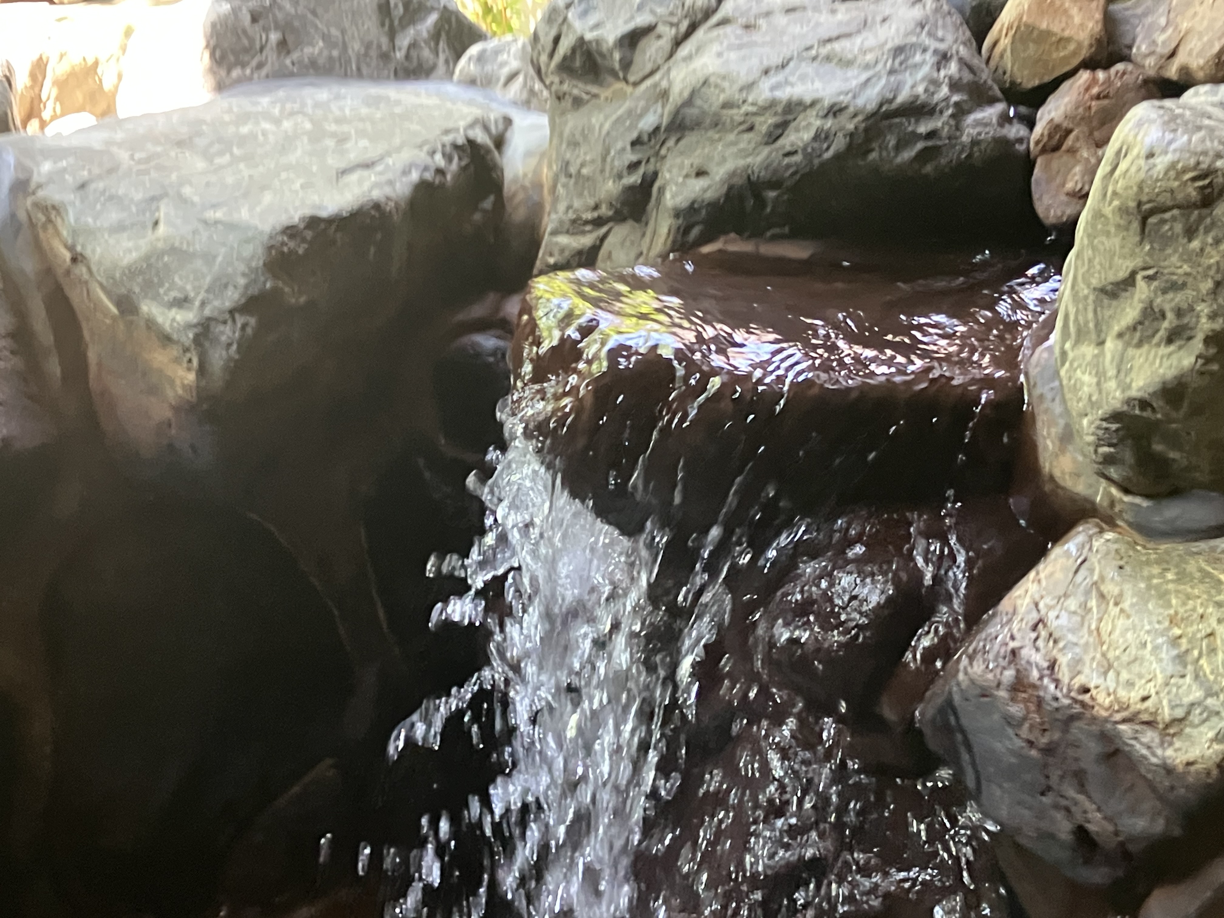 ゆっくり入浴